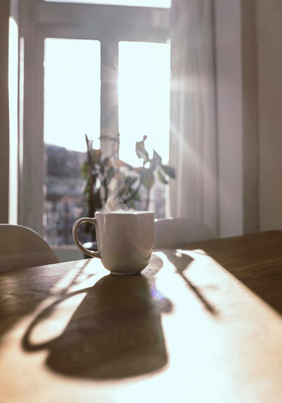 A cup of coffee in morning light